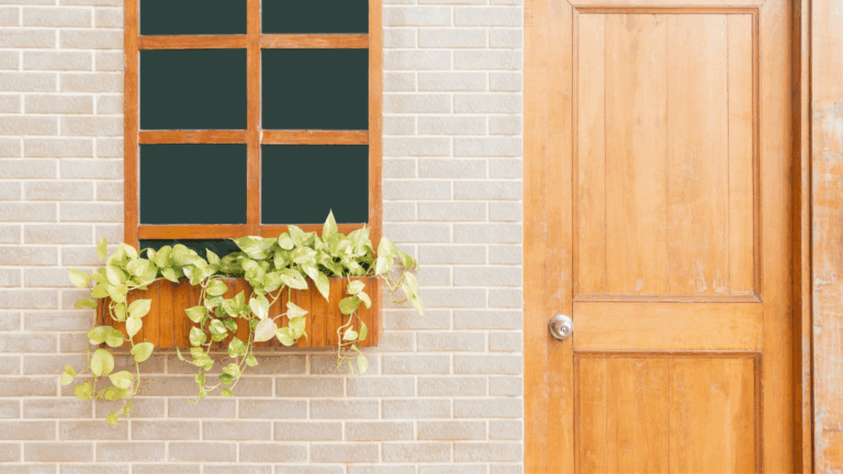 A wooden window box with green trailing plants sits beneath a window in a light-colored brick wall, next to a closed wooden door with a silver knob—perfect for easy opening doors or closing doors.
