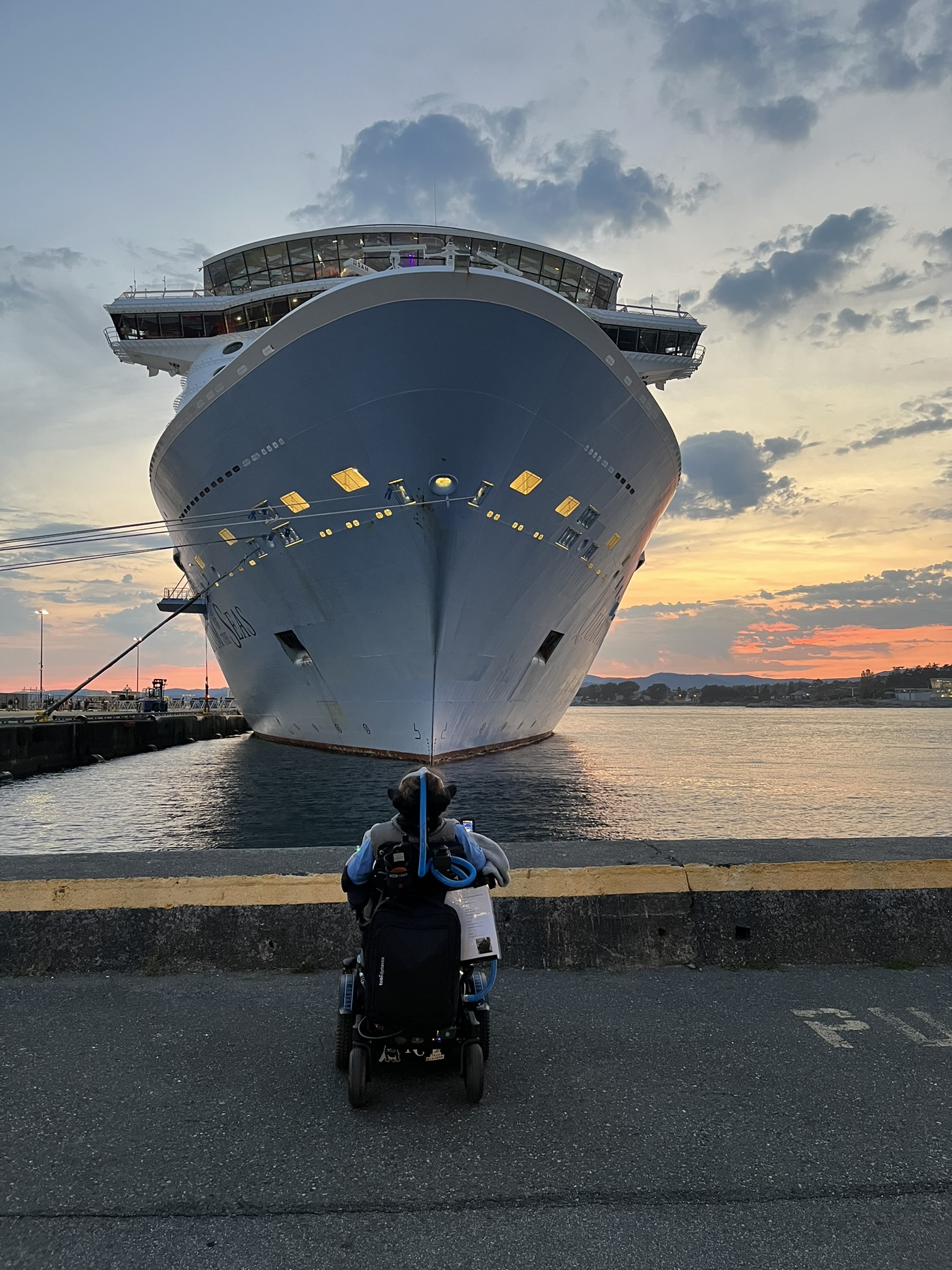 Sarahs Story unfolds as a person in a motorized wheelchair faces a large cruise ship docked at a pier during sunset, with calm water and a partly cloudy sky in the background.